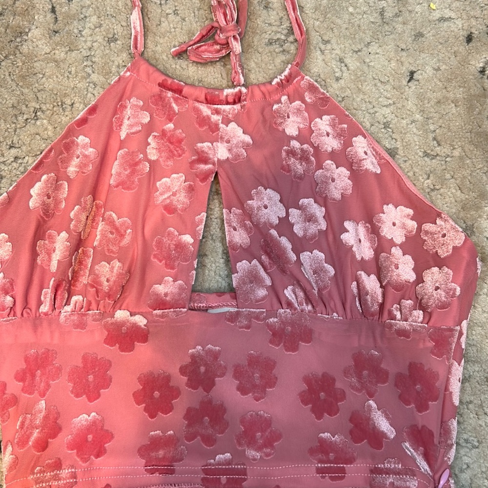 Color pink with flowers open from back